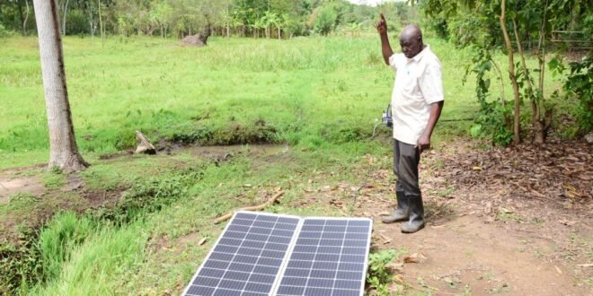 COCOA GOLD RUSH! Equity Bank's Solar Irrigation Scheme Sparks Farming Revolution in Lira - ONLINE