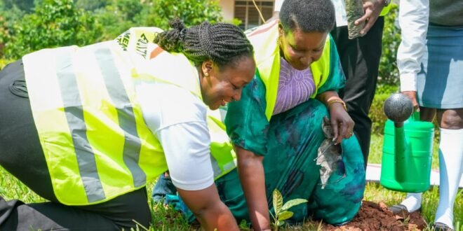 Equity Banks Virginia Ssemakula and Mawokota North MP Amelia Kyambadde planting a tree at the school