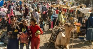 Ethiopian market (Lesly Deksen photo courtesy of Pambazuka News)