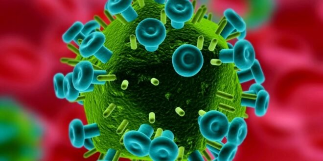 The HIV retrovirus.