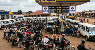 Gemini_Generated_Image_aqpslaaqpslaaqps