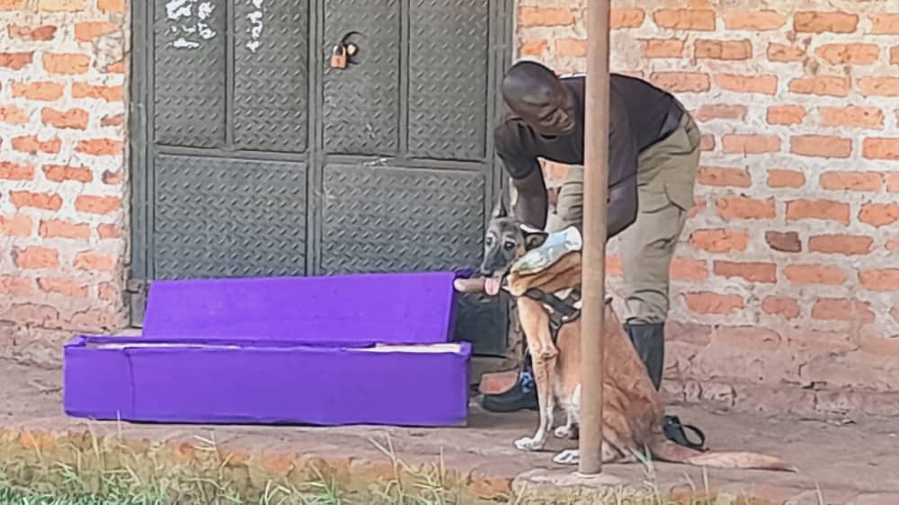 SHOCKING: COFFIN DROPPED AT HOME OF RESIDENT IN HOIMA CITY - MK Newslink