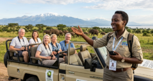 Gemini_Generated_Image_36jlv836jlv836jl