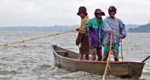 Kikuube Fishing Communities Demand Urgent Government Intervention to Save their  Livelihood