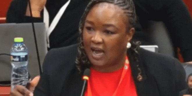 Anti-LGBTQ+ forces push toward Africa-wide adoption of anti-LGBTQ+ charter - The Hoima Post -