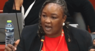South African member of parliament Zandile Majozi tells the anti-LGBTQ conference that her nation rejects the human rights violations contained in the proposed anti-LGBTQ+ African charter.