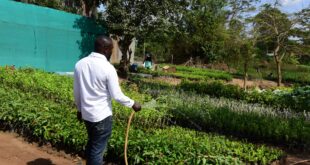 EQUITY BANK LIGHTS UP LIRA! Solar Irrigation Creates Wealth and Greener Livelihoods - ONLINE