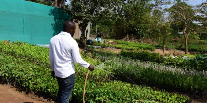 EQUITY BANK LIGHTS UP LIRA! Solar Irrigation Creates Wealth and Greener Livelihoods - ONLINE