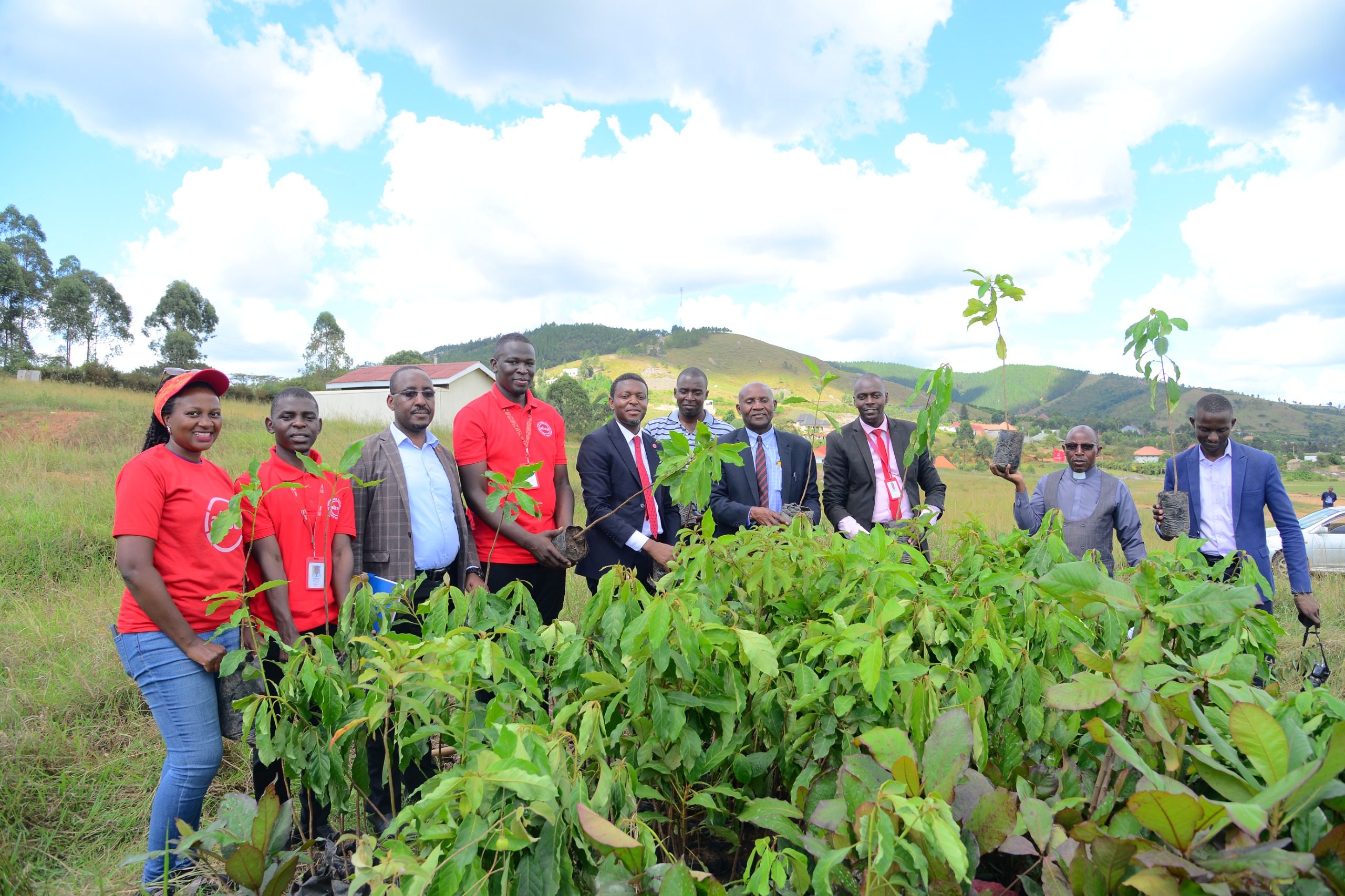 Absa, Bishop Stuart University plant 500 trees to add face to  world earth day