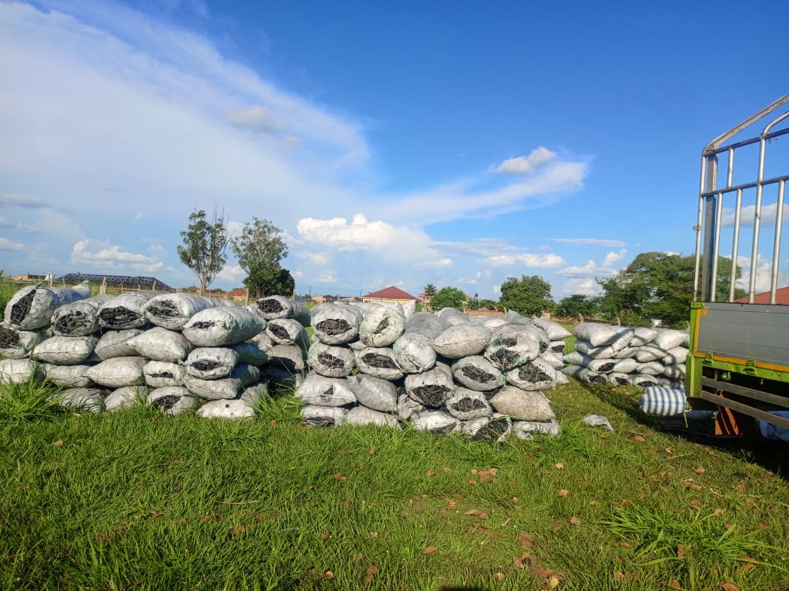 UPDF impound truck loaded with 146 bags of charcoal disguised as maize in Amuru