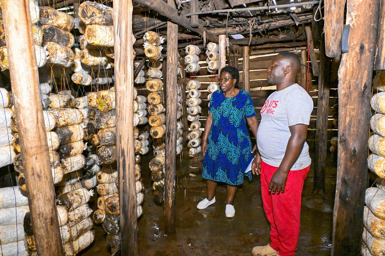 Kampala mushroom farmers share success stories, applaud Museveni for inspiration