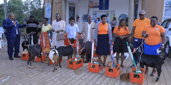 1763120737 MUSHANGA SACCO EKITEREKYE PROMOTION TO END ON 14 DEC 2025