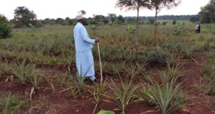 Deputy Mufti tips Youth on proper utilization of time