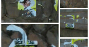 Screenshot_20251126-114533~2