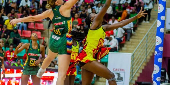 Africa Netball Championship She Cranes Too Weak for Final South