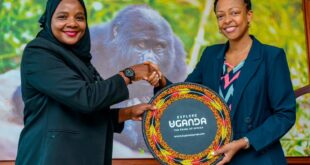 EXPLORE UGANDA UTB Uganda Cranes ink deal to position Uganda