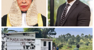 Screenshot_20251204-194208~2