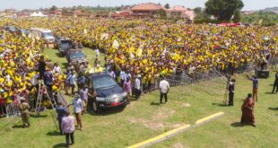Museveni Set for 80 Landslide in 2026 Polls — Report