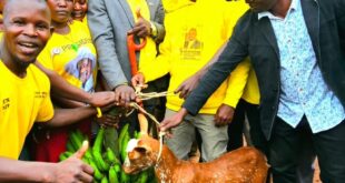 Voters award Bulambuli NRM Mp flagbearer Biara with 50 goats