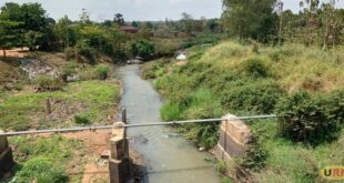 85 fish farmers quit aquaculture due to expensive feeds and drought