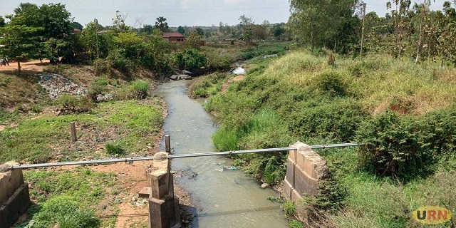 85 fish farmers quit aquaculture due to expensive feeds and drought