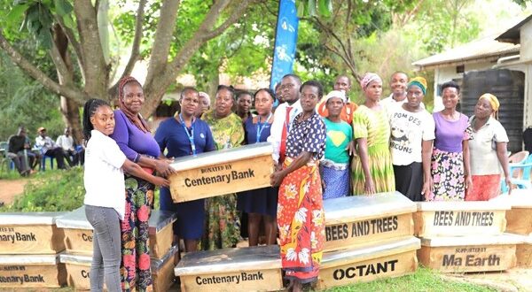 CORPORATE BUZZ Centenary Bank Bees Trees Uganda Partner to
