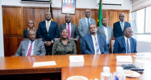 High Level Stakeholder Meeting at the Tanzania Ministry of Energy