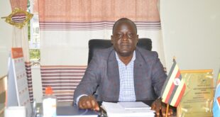 How Ankoles local politics played out