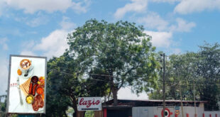 63f4d4c6b84c71676989638