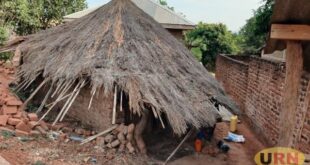 The quiet struggles of Kitgums elderly