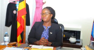 Bailiffs Urged to be Professional and Compliant