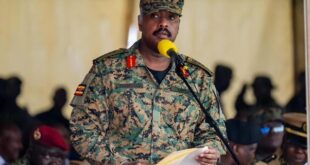 CDF declares 2026 elections the most peaceful since 1996