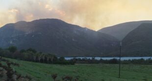 CWDM says property protection remains a priority amid Langeberg fires