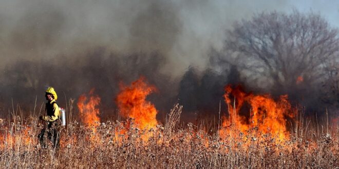 Cape Winelands firefighters battling wildfires in Boland