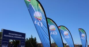 Flags of the Democratic Alliance are viewed on the occasion's Eastern Cape Optional Congress on 27 February 2026.