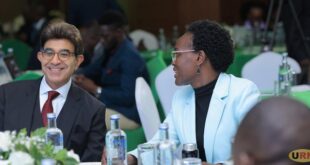 Expert urges against symbolic renewables