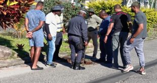 Hawks raid various drug dens in Chatsworth one person arrested