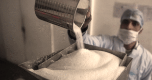 File image: A worker at a sugar factory,