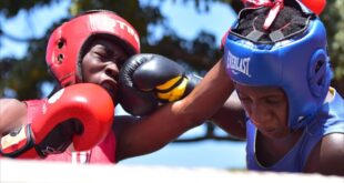 New Sports New Dreams USSSA Opens Doors as Boxing Stays