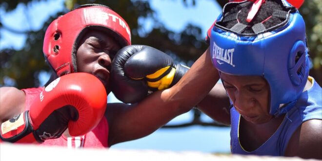 New Sports New Dreams USSSA Opens Doors as Boxing Stays