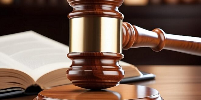 Vietnamese man appears in court on wildlife trafficking charge