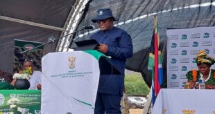 Administrator to replace Ingonyama Trust Board Minister Nyhontso