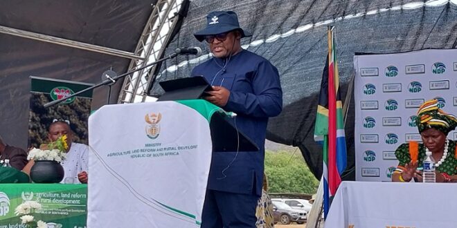 Administrator to replace Ingonyama Trust Board Minister Nyhontso