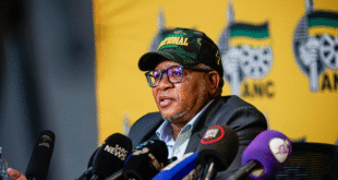 AfriForum urges NPA to reconsider decision on Mbalula Dubai trip