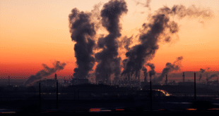Air pollution a growing environmental challenge in SA Experts