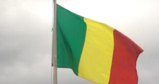 Al Qaeda linked group killed at least 12 truck drivers in