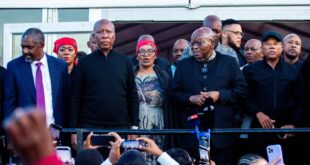 COMMENT Public grief private strategy Politics behind Zumas visit