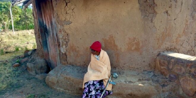 Childcare by Black grannies is subsidizing state and private