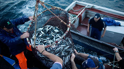 Chinese fishing vessels intercepted for unauthorised entry into SA