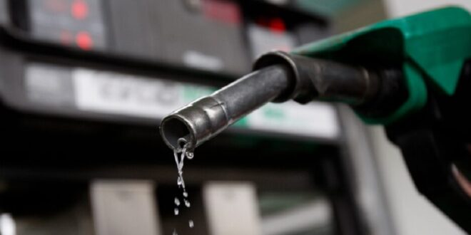A man poses with a gasoline pump at a petrol station.